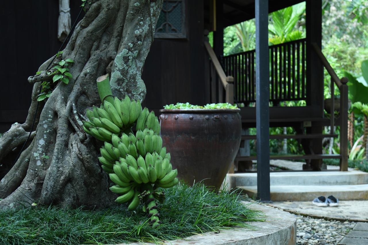 Mae Nai Gardens Villa Ban Mae Mae Luaran gambar