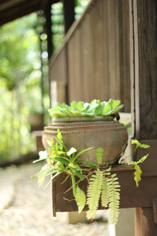 Mae Nai Gardens Villa Ban Mae Mae Luaran gambar
